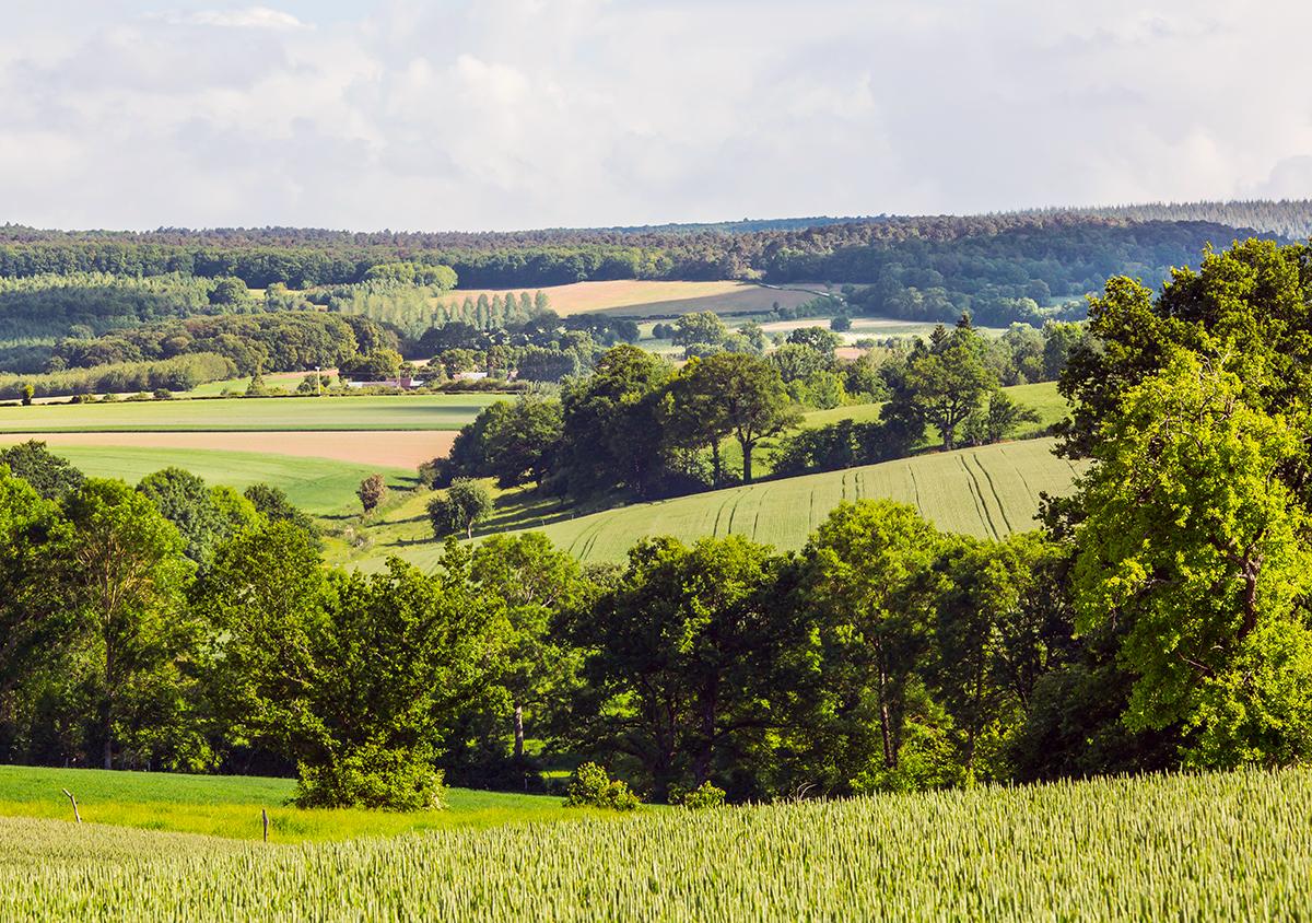 Bocage Mayennais Bocage Mayennais