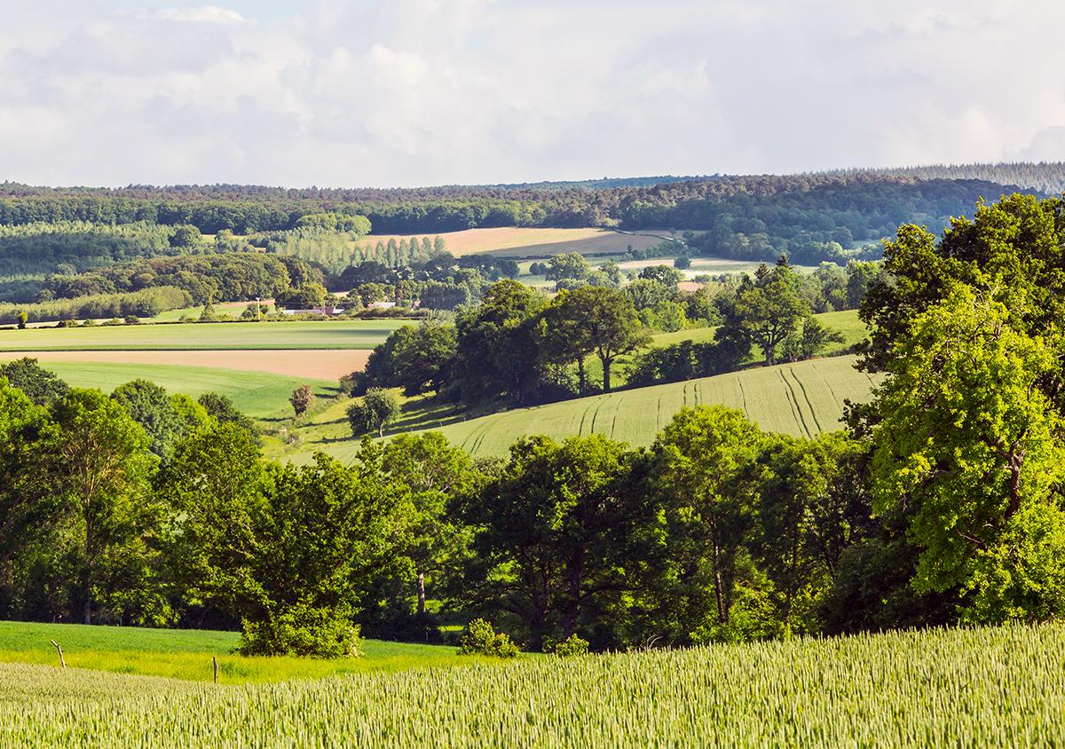 Bocage Mayennais